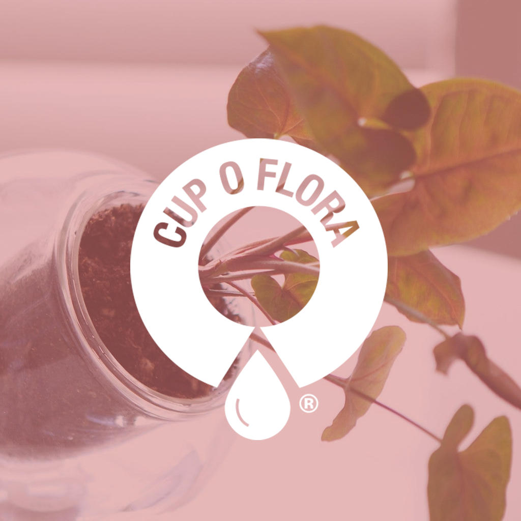 Cup O Flora