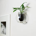 Wall Mounted Self Watering Pot