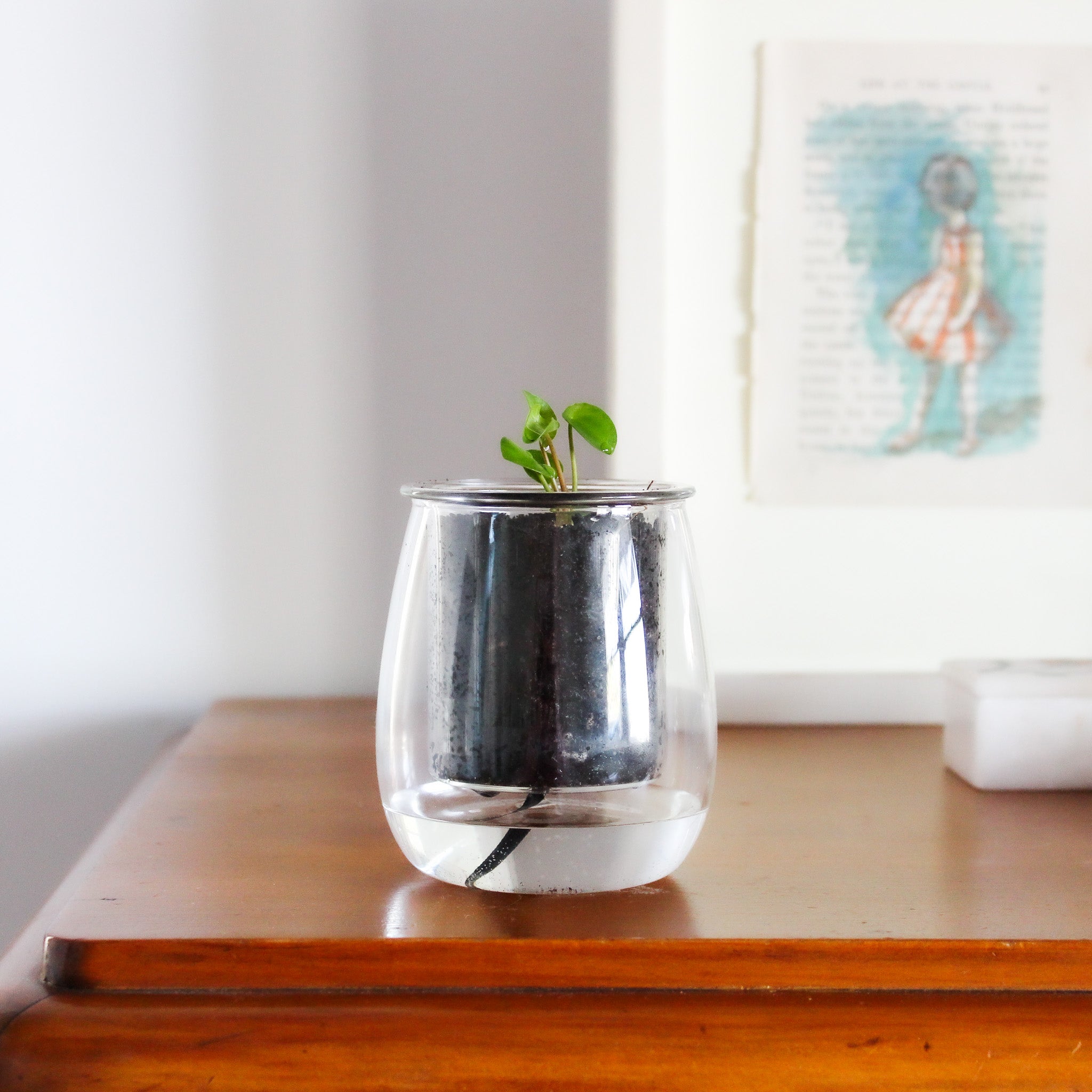 Mini Self Watering Planter