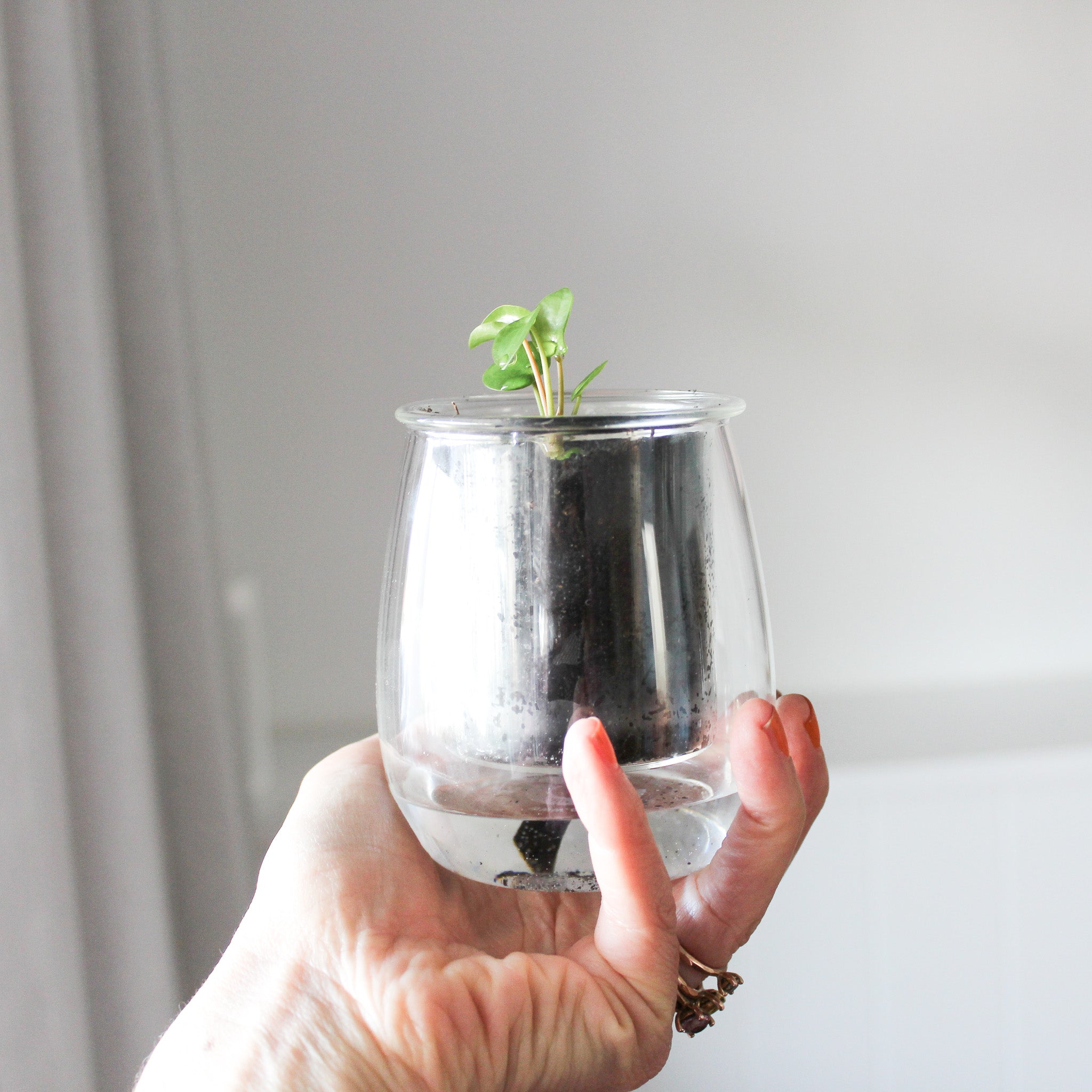 Mini Self Watering Planter